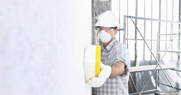 Best Industrial Mold Remediation in Port Oconnor, TX